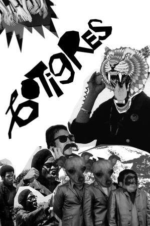 60tigres3.jpg